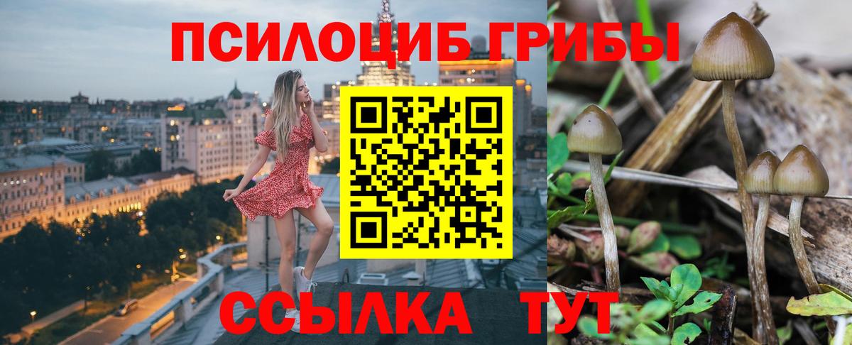 Гагарин  Псилоцибиновые грибы Psilocybine cubensis  Галлюциногенные грибы GOLDEN TEACHER  Вход с VPN 