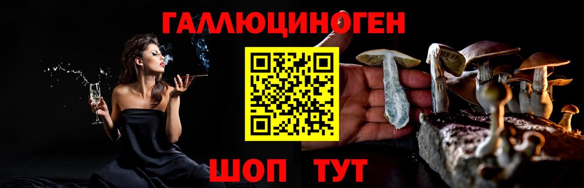Галлюциногенные грибы Cubensis Гагарин